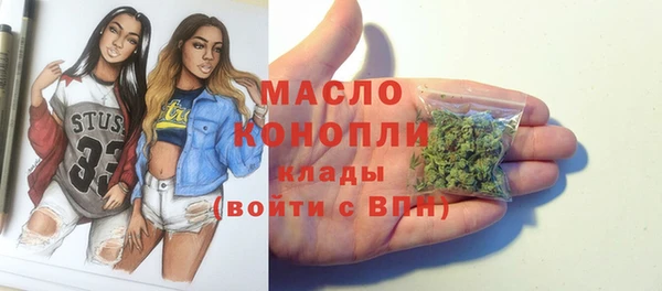 хмурый Инта