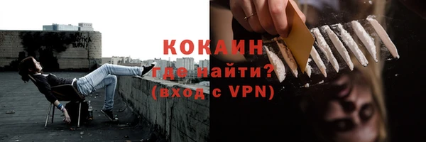 хмурый Инта