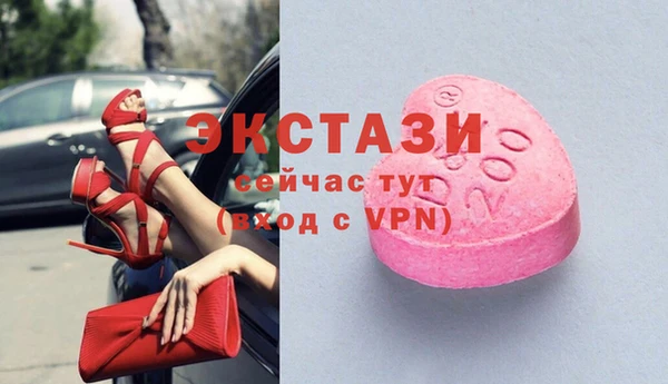 хмурый Инта