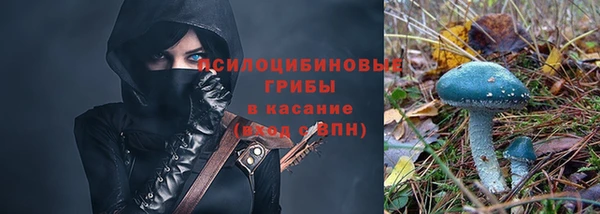 хмурый Инта